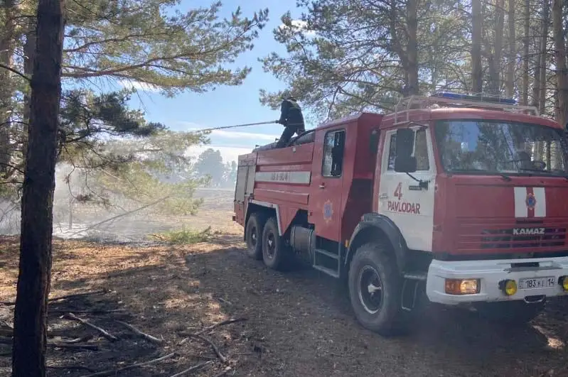 Пожар в резервате «Ертіс орманы»: огонь продолжают тушить на четырех участках