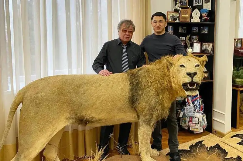 Фото президента академии туризма со шкурами снежных барсов изучает полиция