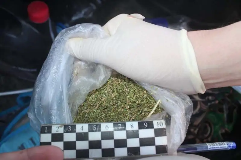 Около 20 кг наркотиков изъяли из незаконного оборота в Кызылорде