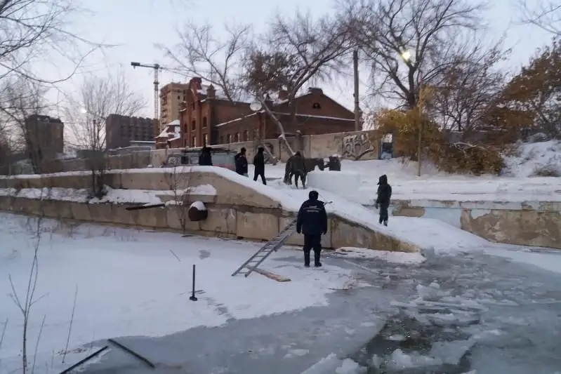 Операция по спасению застрявших на ледовом островке лошадей проходит в Семее