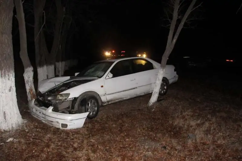 Водитель насмерть сбил мать с восьмилетним ребенком на трассе Алматы – Бишкек