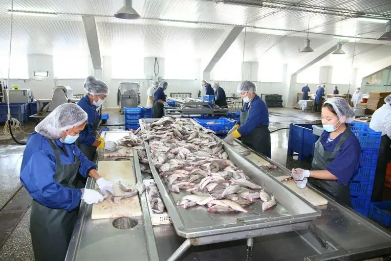 Более двух трлн тенге Казахстану принесет рыбное хозяйство за 10 лет