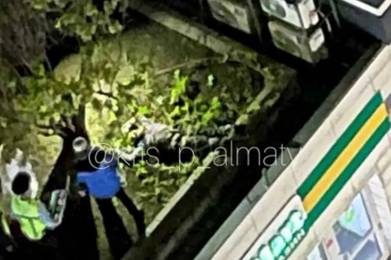 Стрелял в охранника ЖК в Алматы: подозреваемый предположительно выпрыгнул из окна