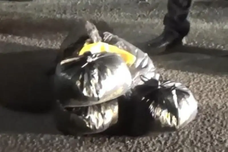 Мешок наркотиков нашли у жительницы Экибастуза