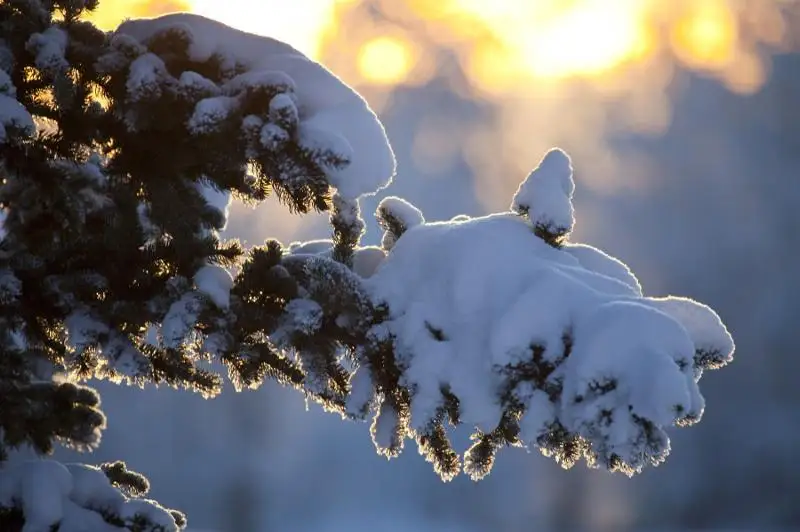 Каким будет февраль в Северо-Казахстанской области