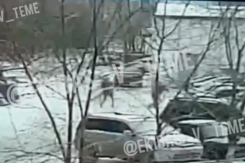 Полиция установила мотив убийства мужчины из обреза в Экибастузе