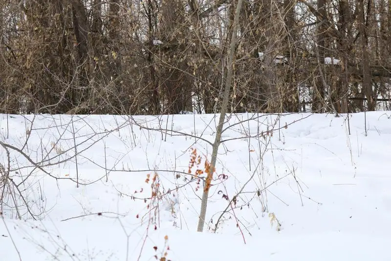 Найдено тело пропавшей полтора месяца назад акмолинки