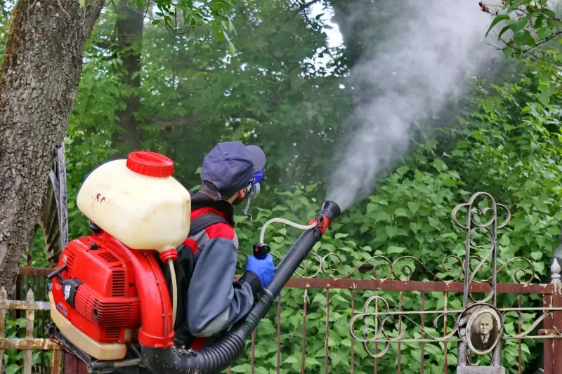 Карантинные зоны для борьбы с вредителями установят в Алматы