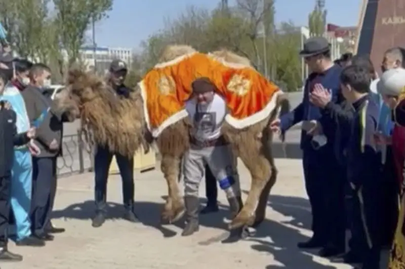 Верблюда поднял казахстанский атлет в честь 150-летия Кажымукана