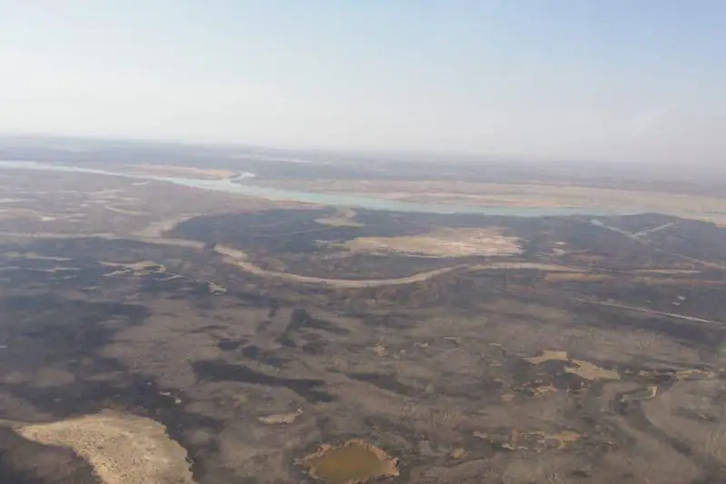 Основные очаги пожара в лесном массиве Алматинской области потушены