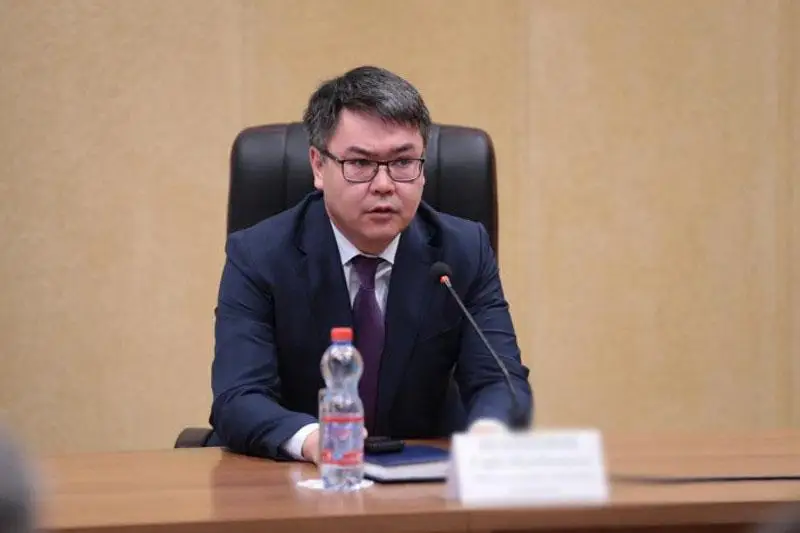 Мажилисменам презентовали поправки в законодательство по вопросам соцзащиты отдельных категорий граждан