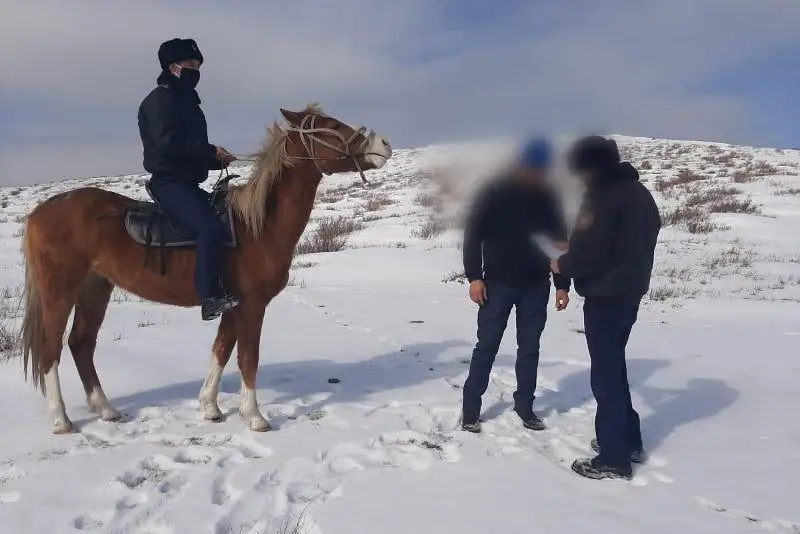 Сотрудники службы пробации в Карагандинской области несут службу на лошадях