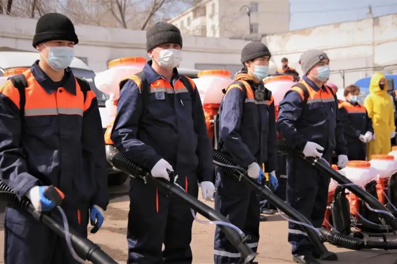 Как снижают количество комаров в столице