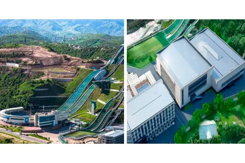 Азиатская академия борьбы появится в Алматы