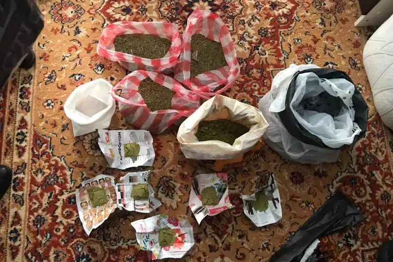 Свыше 560 доз наркотиков изъяли у жителя СКО