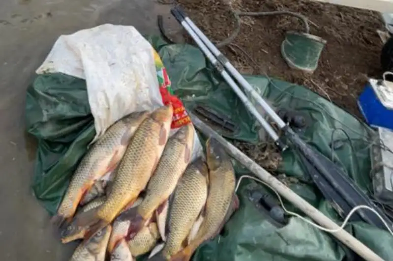 В Туркестанской области полицейские задержали браконьеров с незаконно добытой рыбой