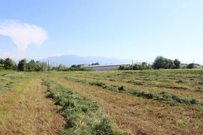 Как рационально использовать земли сельскохозяйственного назначения