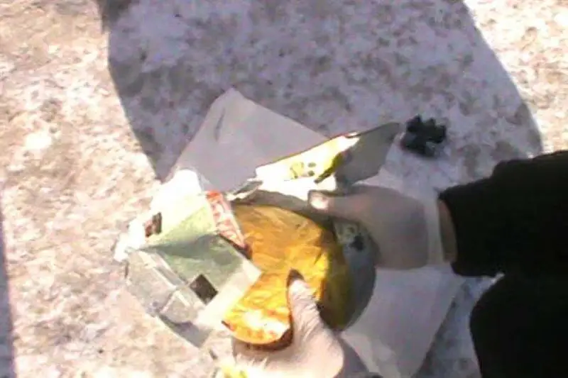 Более одного килограмма гашиша изъяли полицейские Талдыкоргана