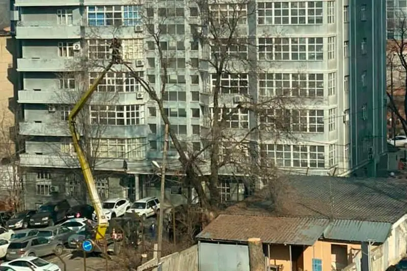 Алматинцы просят остановить точечную застройку недалеко от проспекта Аль-Фараби