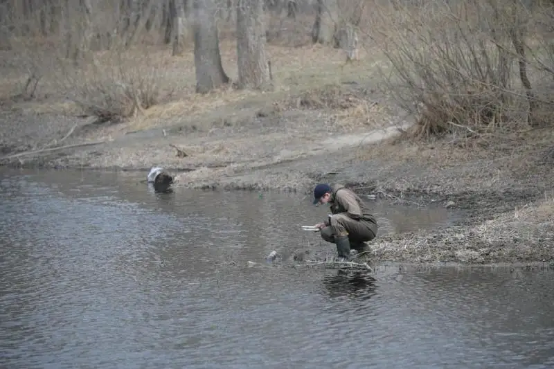 Договор с подрядчиком по борьбе с гнусом заключат на три года в Павлодарской области