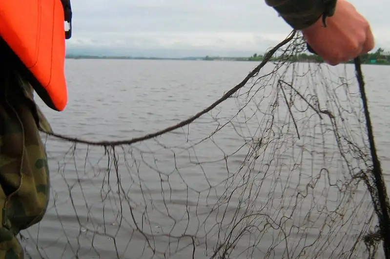 Проект «Таза табиғат»: в рамках акции «Чистые водоемы» извлечено более 23,7 км бесхозных сетей