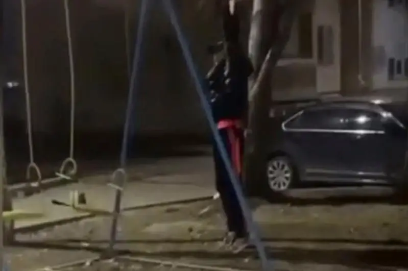 Хулиган умышленно сломал качели в Алматы
