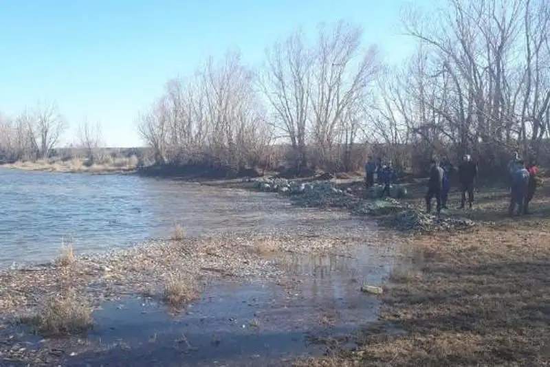 Названа предварительная причина гибели рыбы на пруду в Актюбинской области