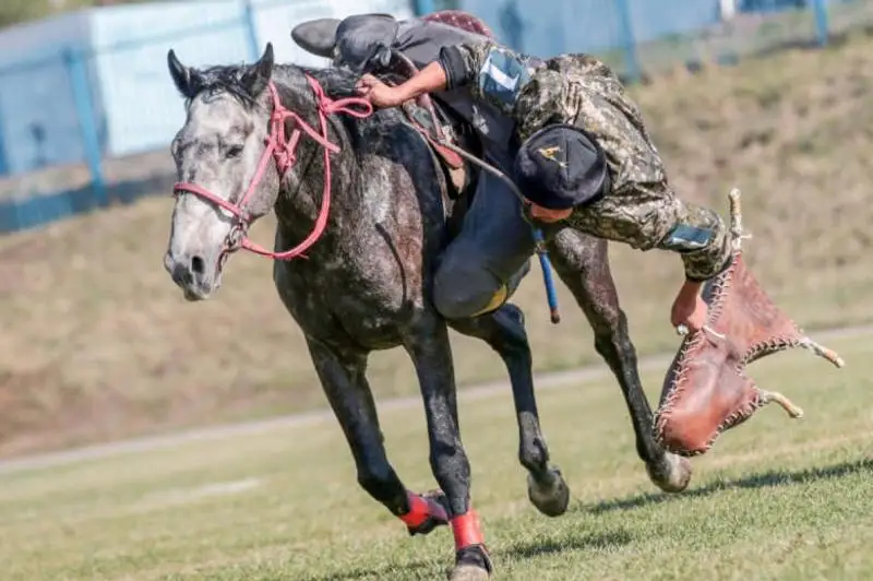 Очередной кокпар во время карантина остановили полицейские в Туркестанской области
