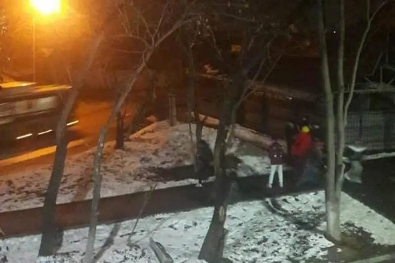 Подростки закидывали проезжающие автобусы камнями и снежками в Алматы