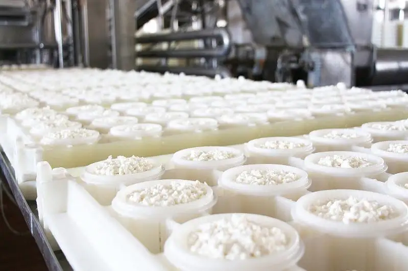 В СКО стали больше производить сыра и творога
