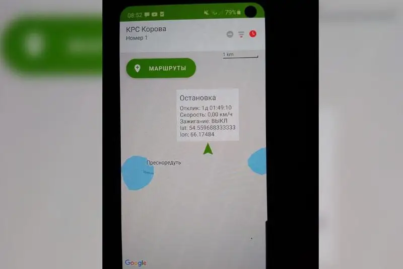 Новые технологии применяют в борьбе со скотокрадством в СКО
