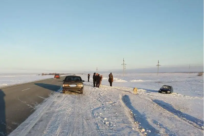 Лошадь стала причиной ДТП в Павлодарской области