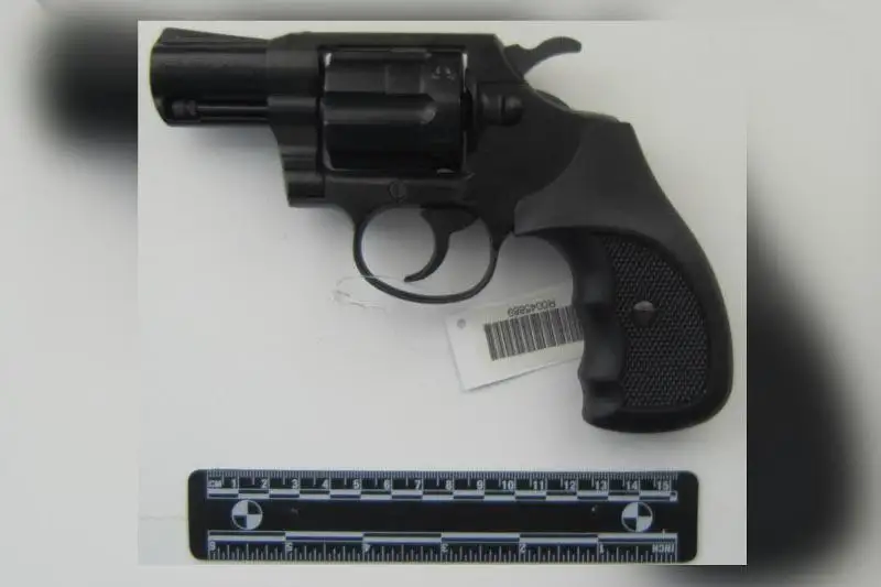 Двустволку четверть века незаконно хранила жительница СКО