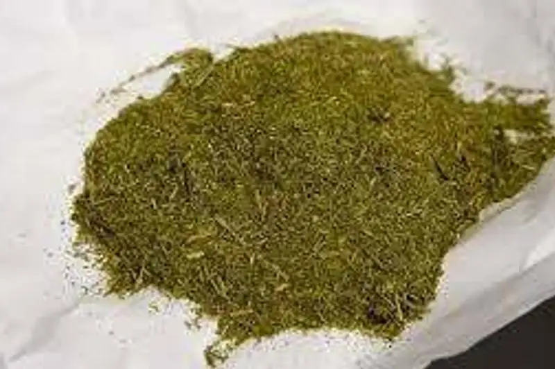 Сбытчика марихуаны задержали в Таразе