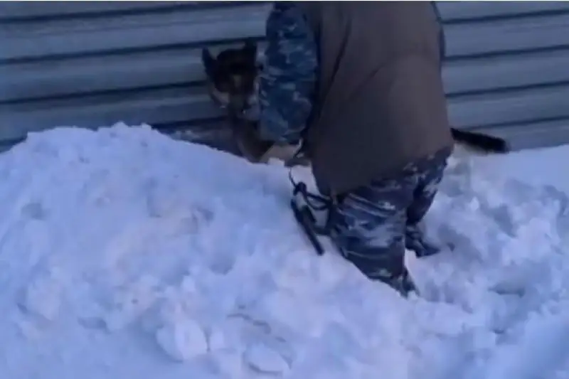 Тайник наркоторговца нашла служебная собака в столице