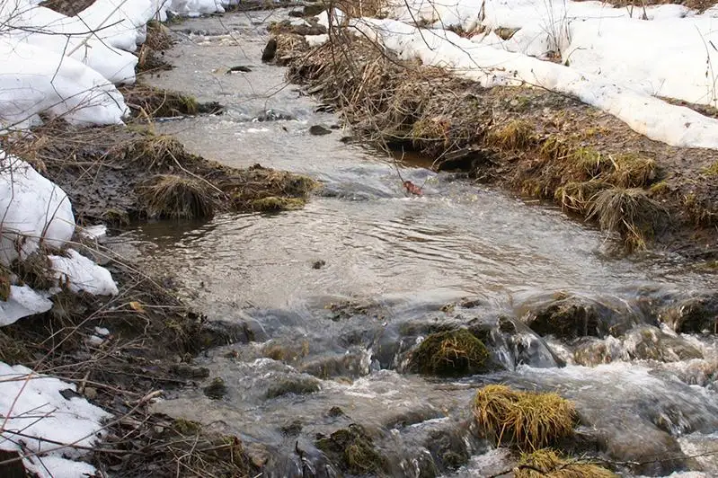 Русла рек очистили в Алматы