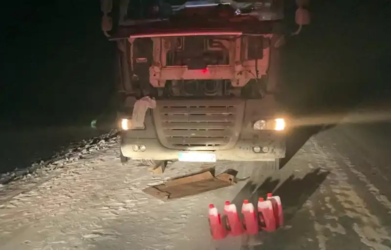 Цветочный груз из Литвы едва не замерз на трассе в СКО