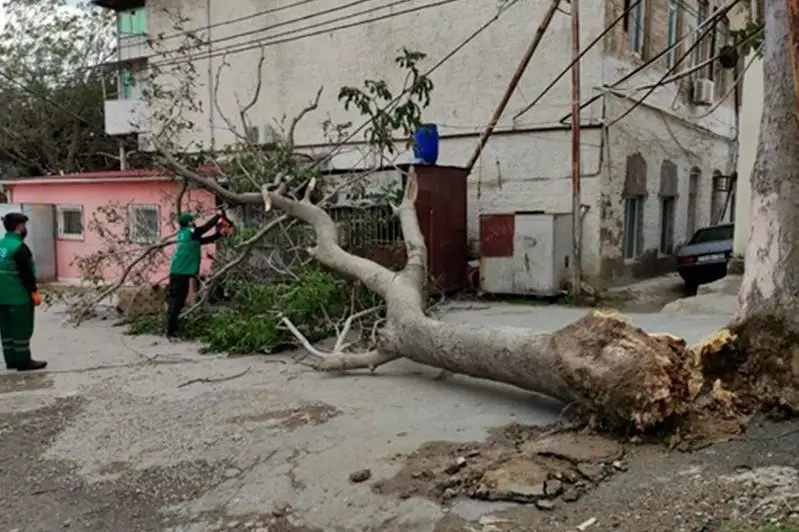 В Баку и на Абшеронском полуострове бушует сильный ветер