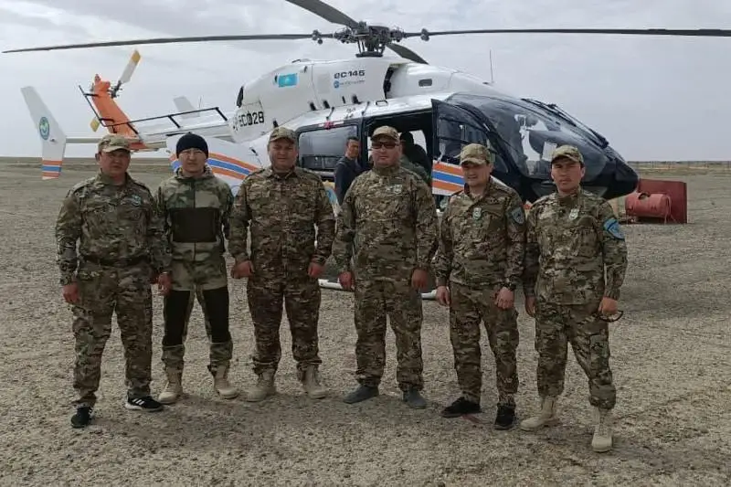 Авиаучёт сайгаков проводят в Казахстане