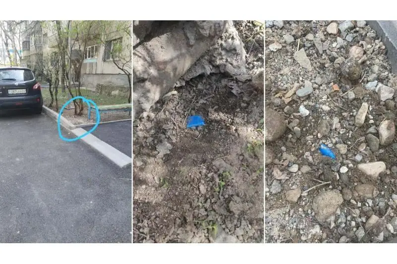 Участники бойз-бенда оказались среди задержанных наркосбытчиков в Алматы