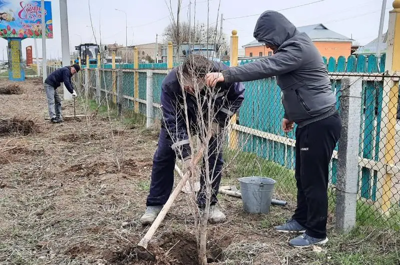 Акция по посадке каждой семьей 10 деревьев стартовала в Келесском районе Туркестанской области