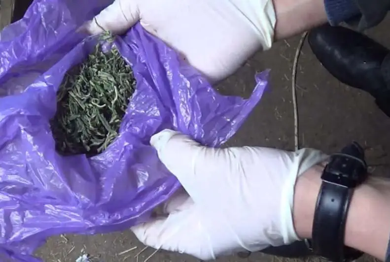 Двух сбытчиков наркотиков задержали в Костанайской области