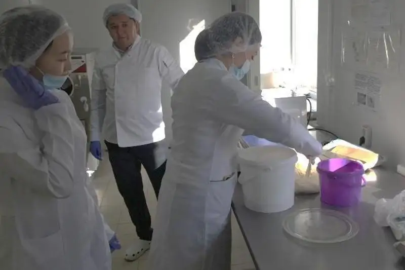 Новый продукт из творога создали карагандинские студенты