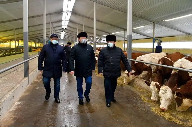 Молочную ферму запустили в Айыртауском районе СКО