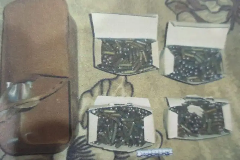 Цинковую коробку с 990 патронами нашел житель Петропавловска