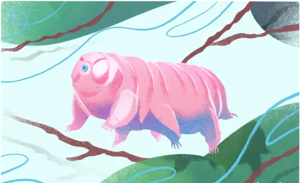 جەر بەتىندە ۇزاق ءارى ماڭگى ءومىر سۇرەتىن تىرشىلىك يەلەرى