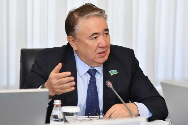 Функции передаются в конкурентную среду, но госорганы сохраняют контроль за собой - сенатор