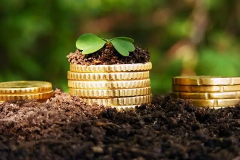 Как будет кредитоваться сельское хозяйство, рассказал Сапархан Омаров