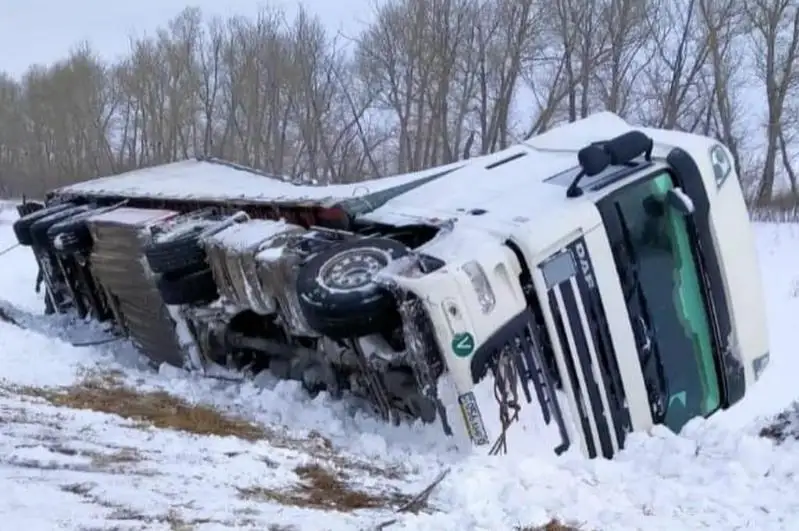 Фуру с 18 тоннами семян извлекли из кювета в Акмолинской области
