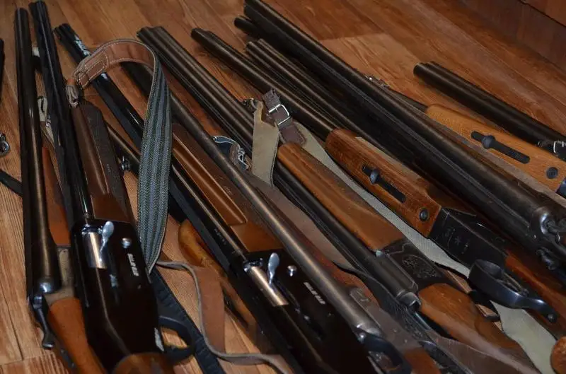 В Павлодарской области с начала года полиция изъяла свыше 100 единиц оружия